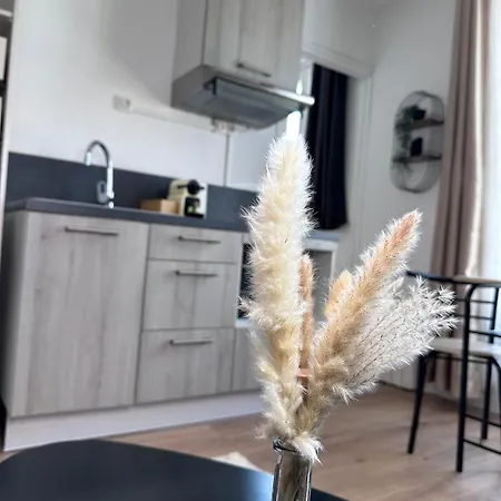 Apartment Proche Paris Champs Elysees - Wifi
